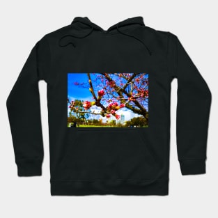 Photography - Fukuoka hanami Hoodie